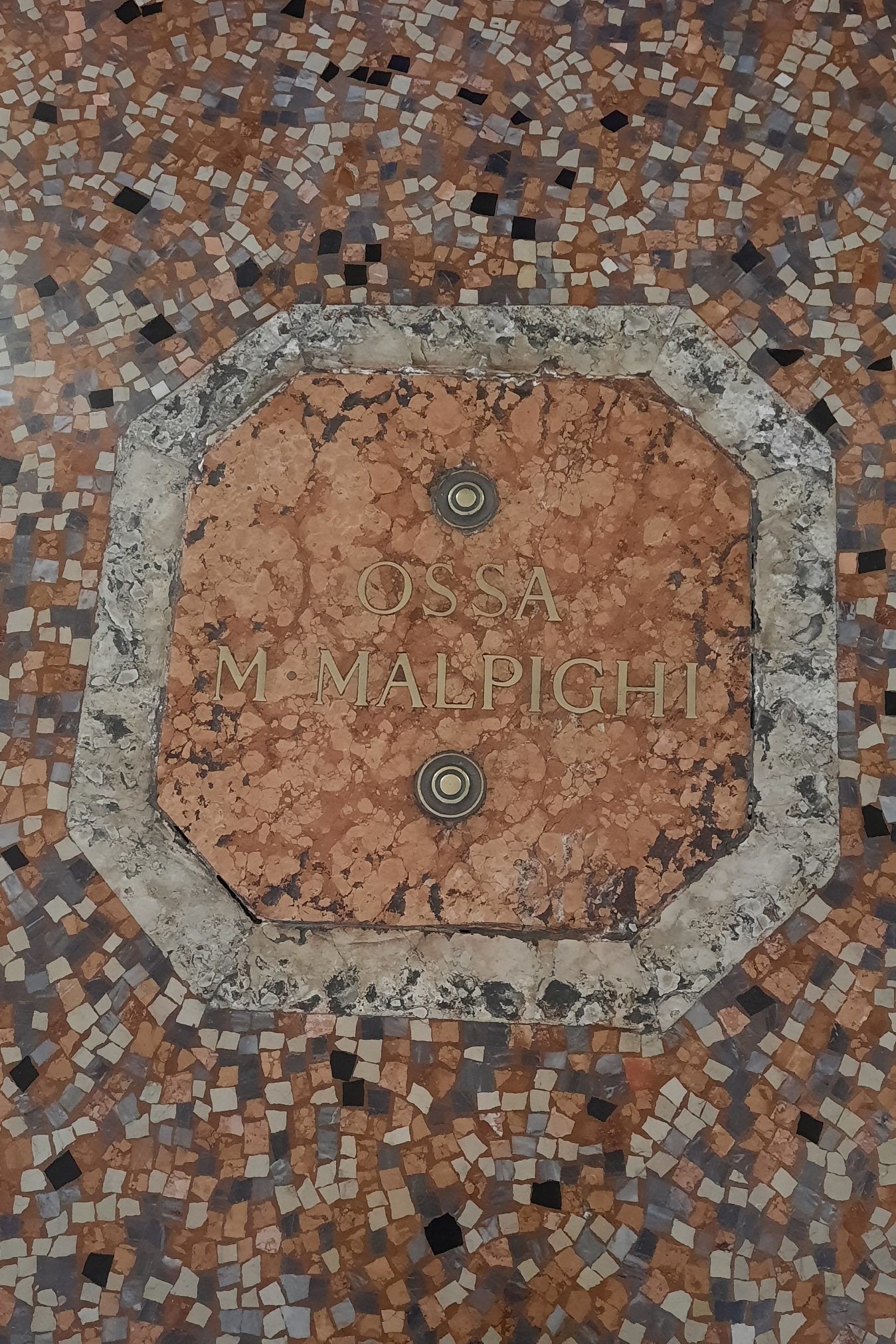 Marcello Malpighi's original burial, Bologna - 02.jpg
